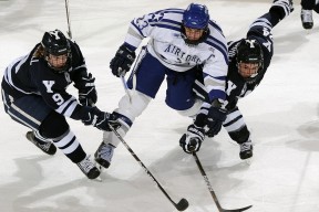 开云·Kaiyun网页版-LPL职业俱乐部高管研讨会聚焦人才流动机制，lol职业俱乐部招聘