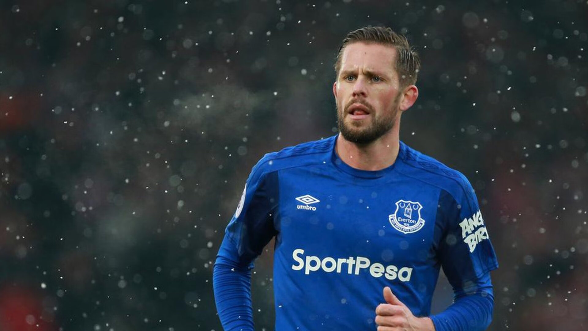 中国游泳全国冠军赛,张雨霏斩获四金成最大赢家,游泳冠军张雨霏几块金牌